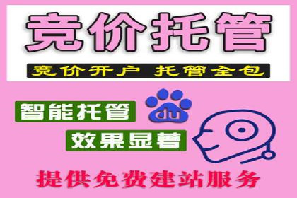 百度竞价代运营公司成功案例：从零到一的营销奇迹